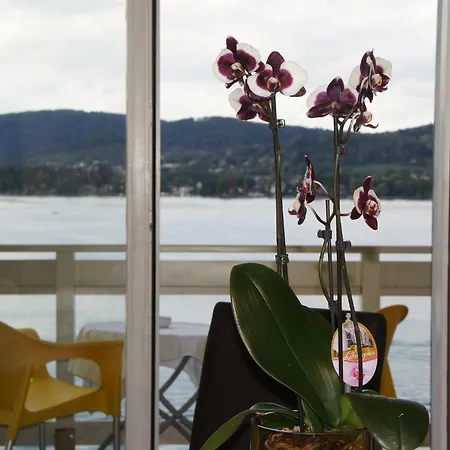 Apartament Seehaus Gaby *